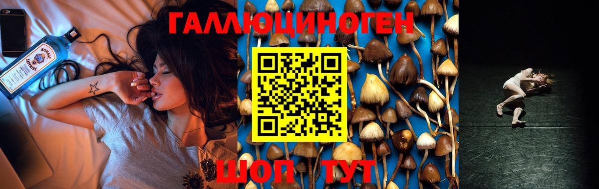 Галлюциногенные грибы Cubensis Лангепас